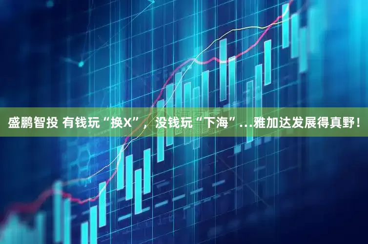 盛鹏智投 有钱玩“换X”，没钱玩“下海”…雅加达发展得真野！
