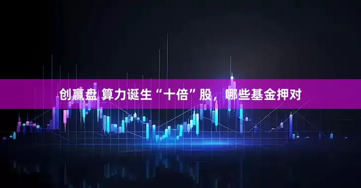 创赢盘 算力诞生“十倍”股，哪些基金押对