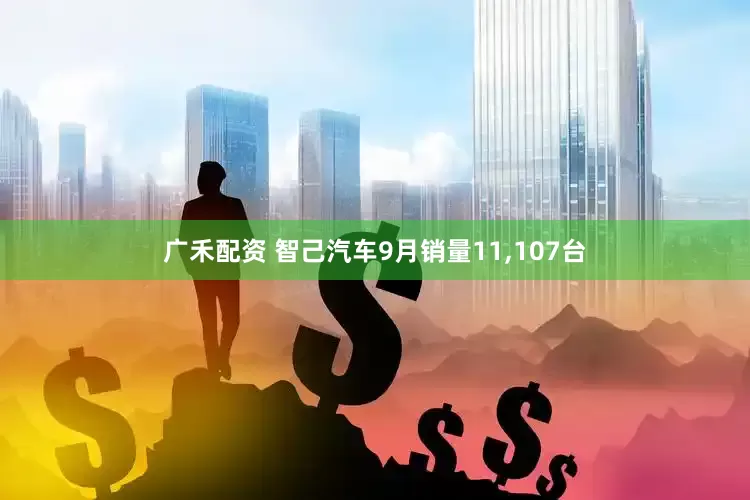 广禾配资 智己汽车9月销量11,107台